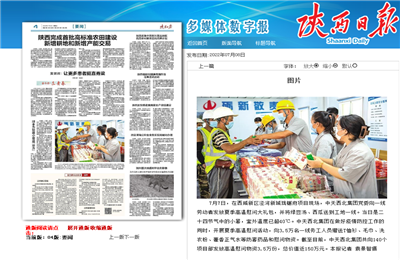 俄罗斯专享会294西北集团珑樾府项目高温慰问——《陕西日报》